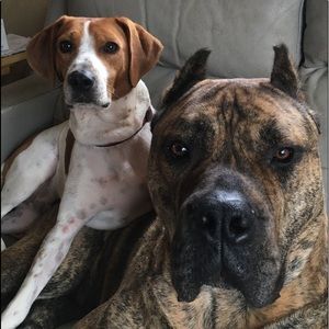 Meet your Posher, Sheila